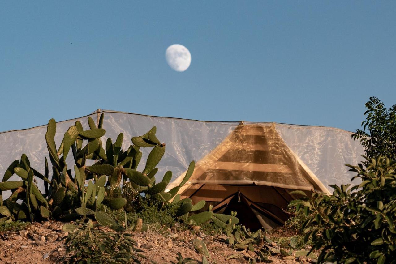 Guía de Isora Finca Gaia La Segunda מראה חיצוני תמונה