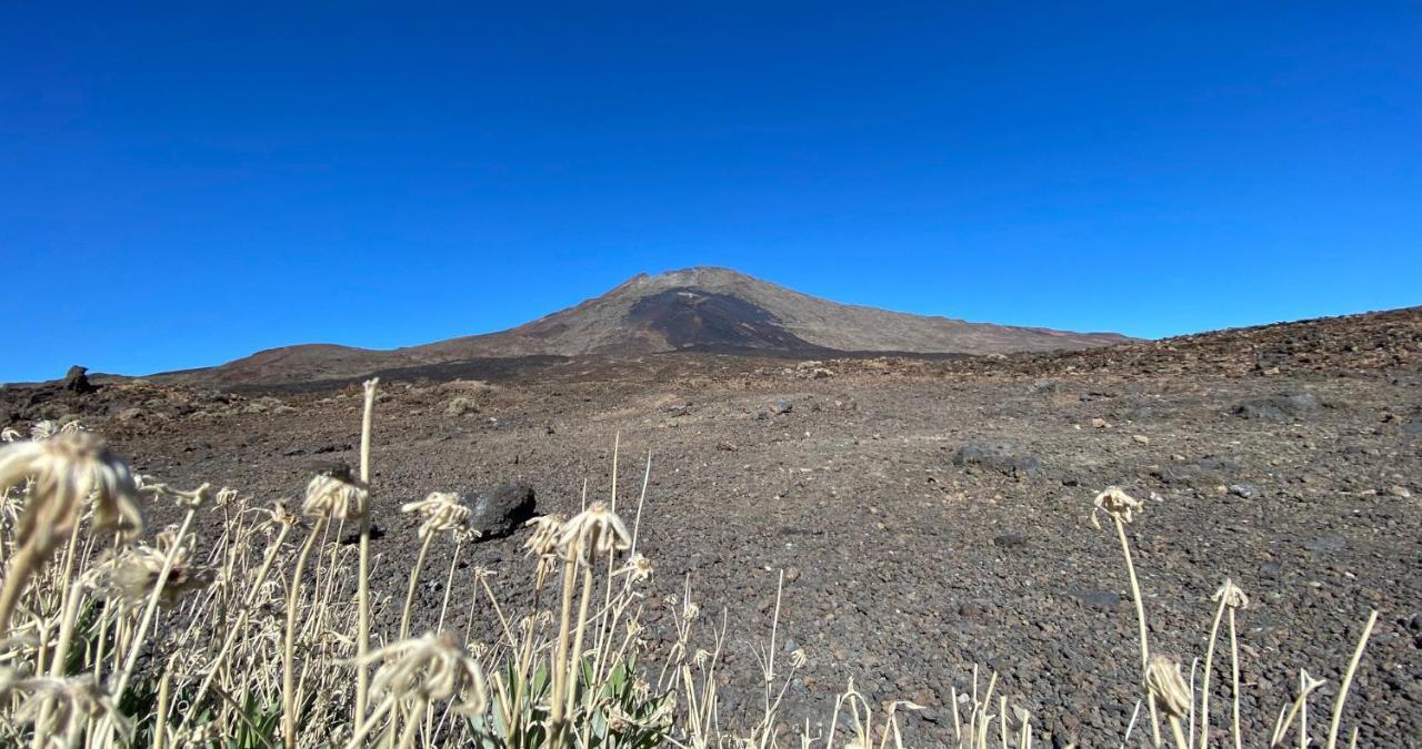 Guía de Isora Finca Gaia La Segunda מראה חיצוני תמונה