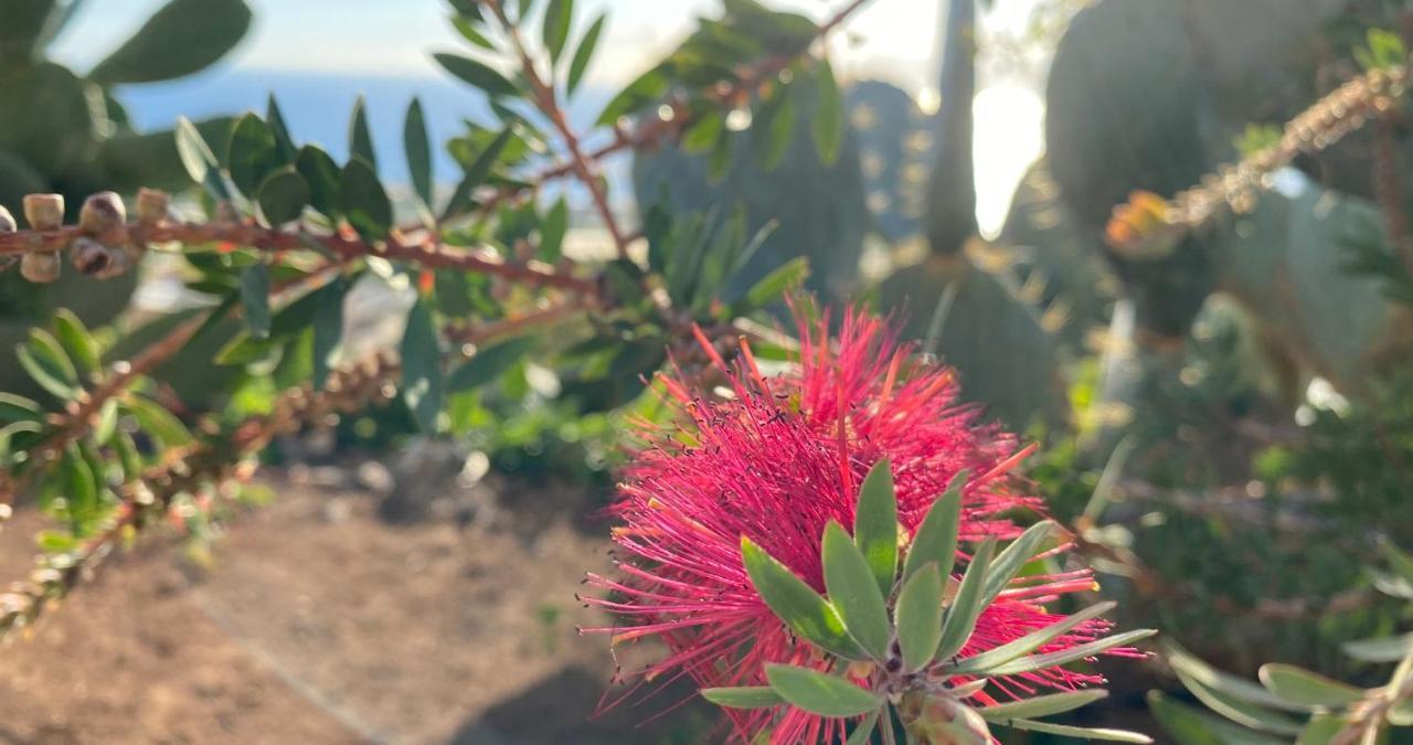 Guía de Isora Finca Gaia La Segunda מראה חיצוני תמונה