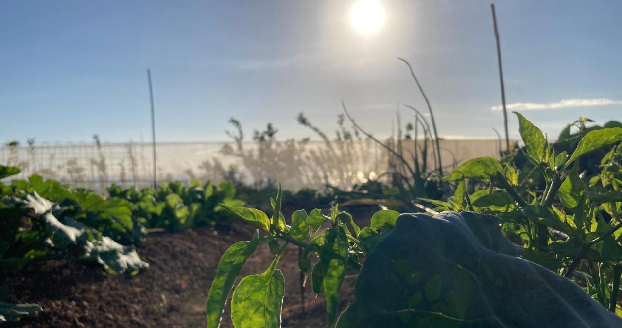 Guía de Isora Finca Gaia La Segunda מראה חיצוני תמונה