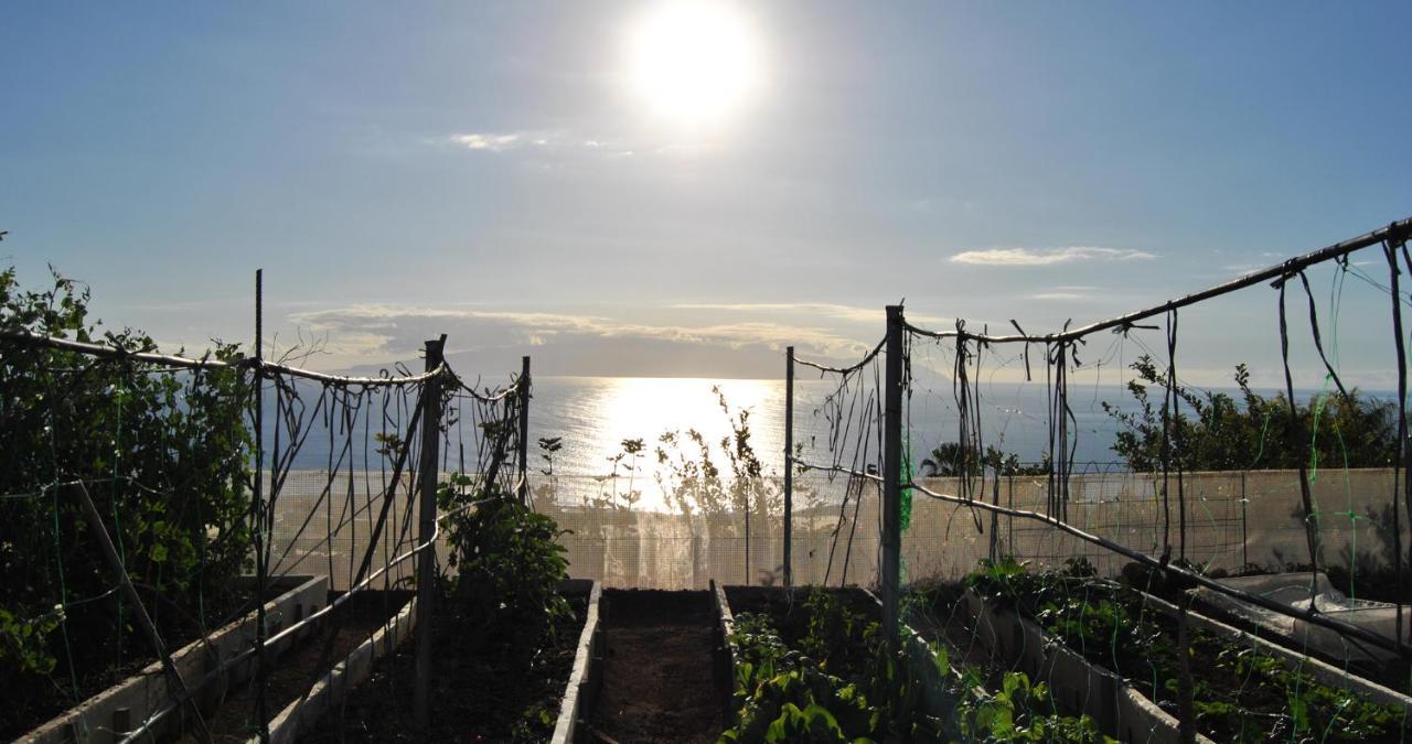Guía de Isora Finca Gaia La Segunda מראה חיצוני תמונה