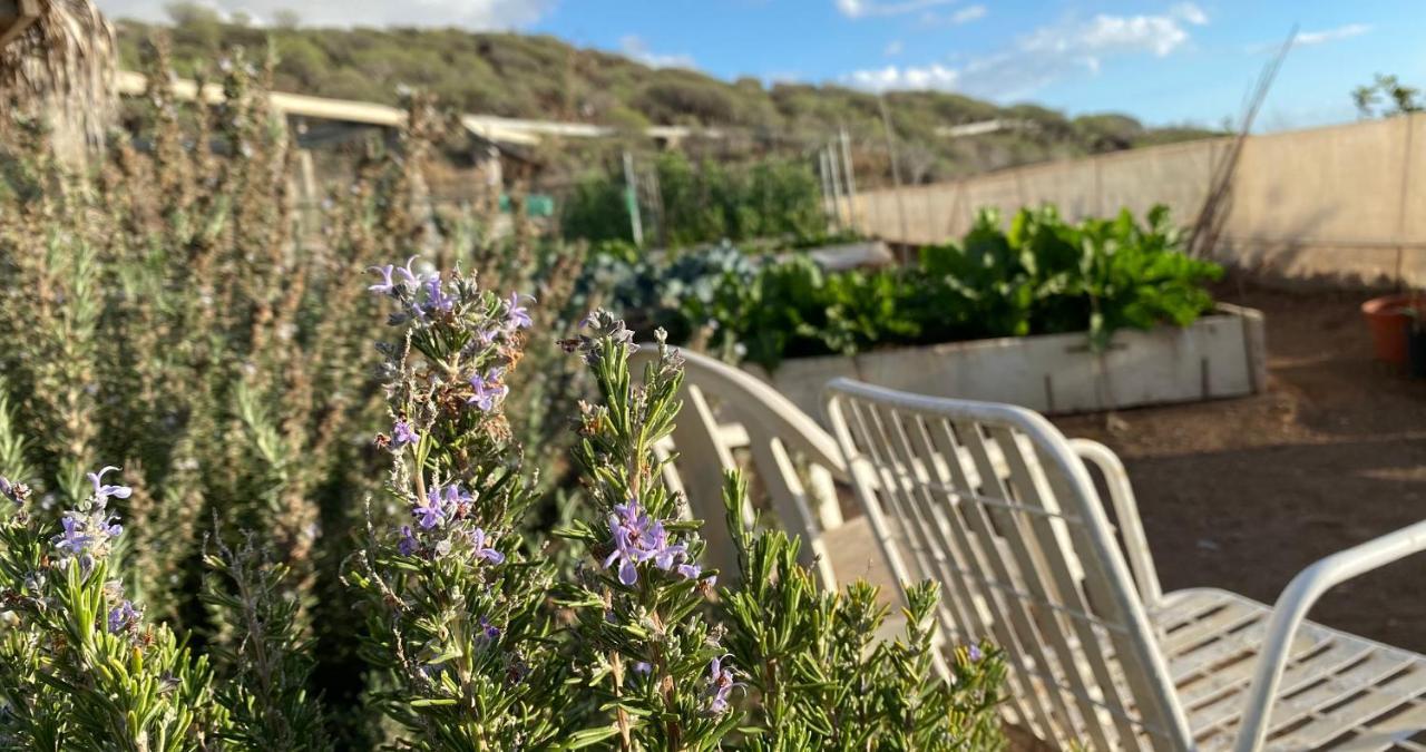 Guía de Isora Finca Gaia La Segunda מראה חיצוני תמונה